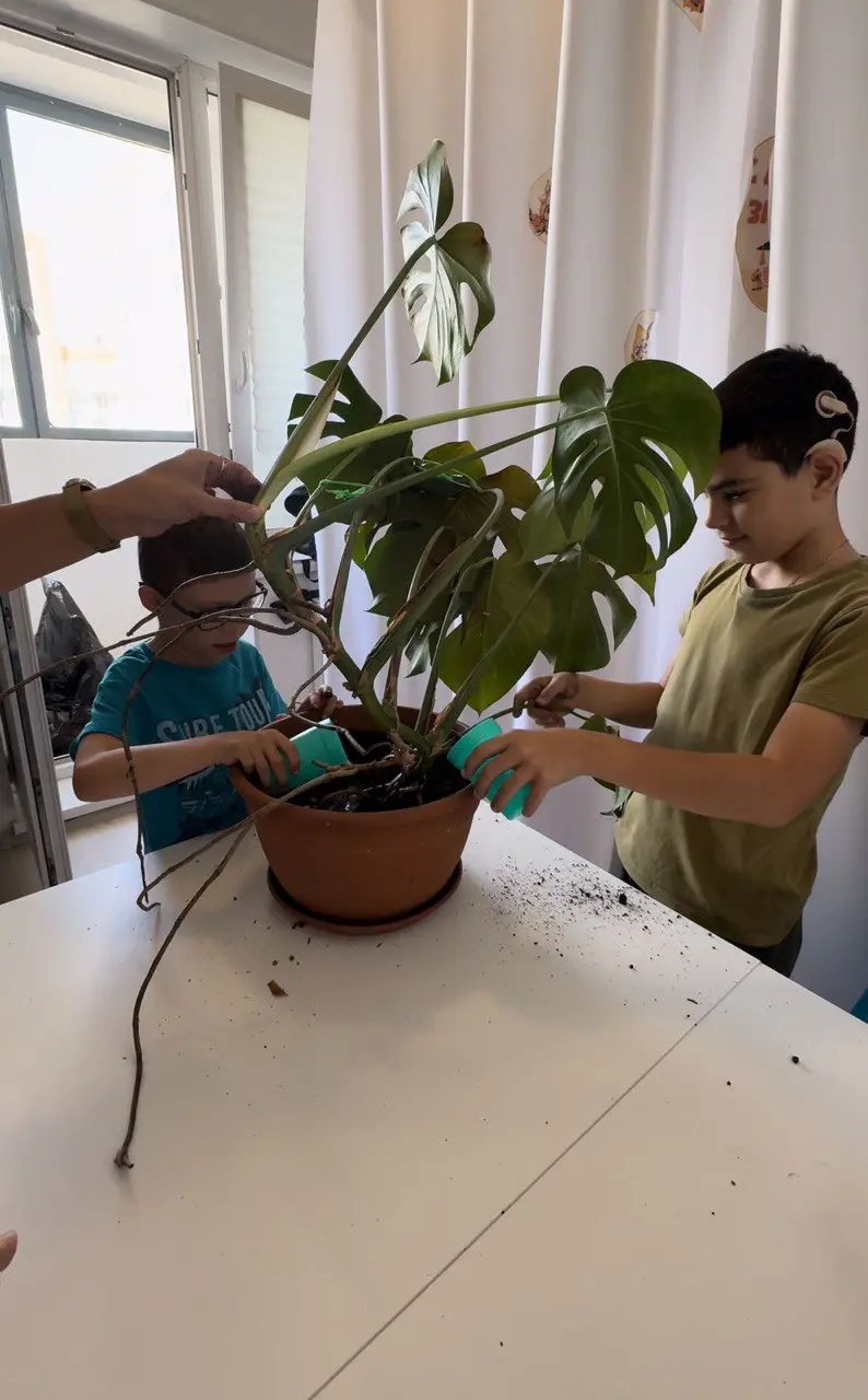 Экологическое воспитание. Фото 3