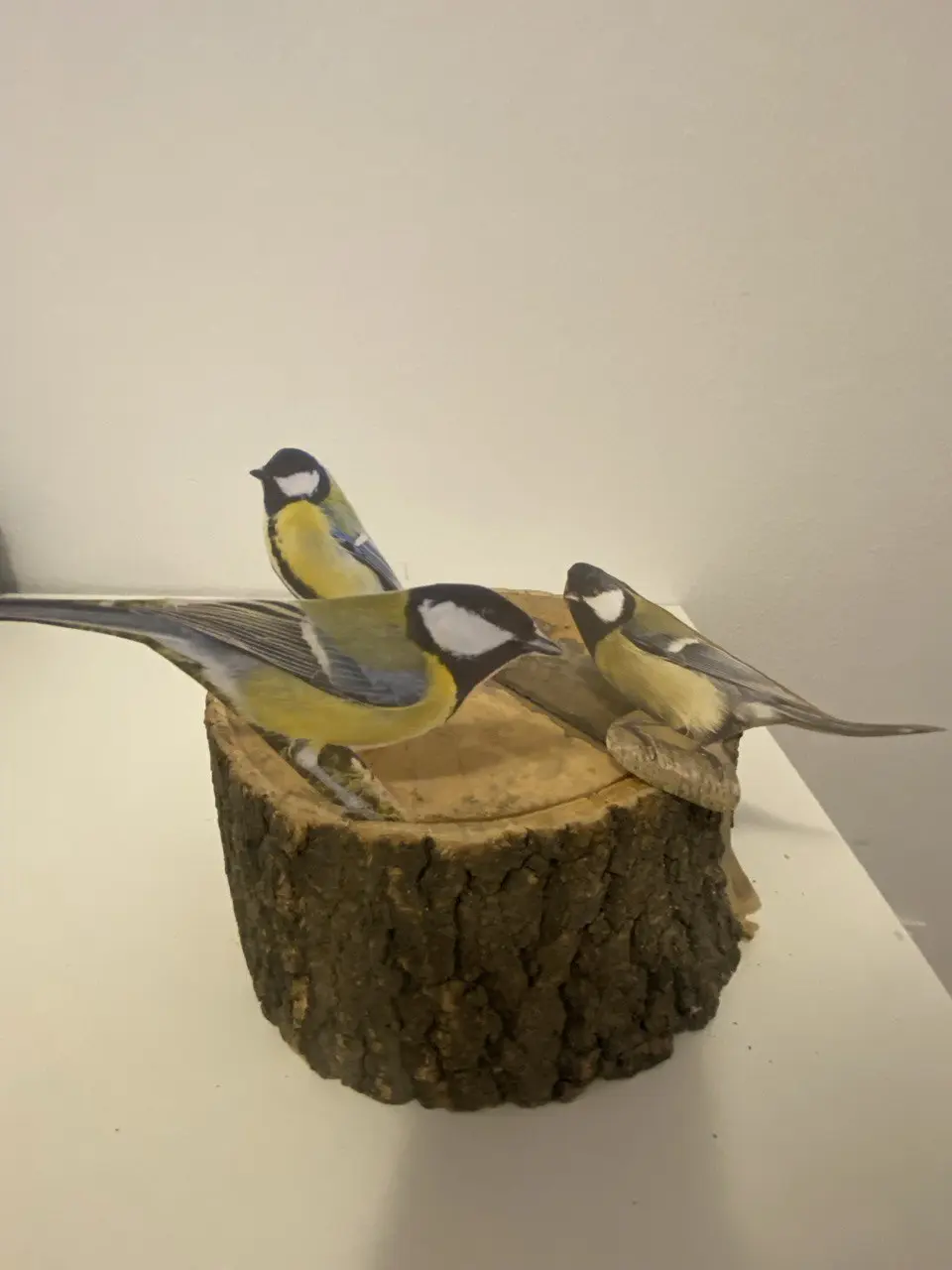 Синичкин день. Фото 1