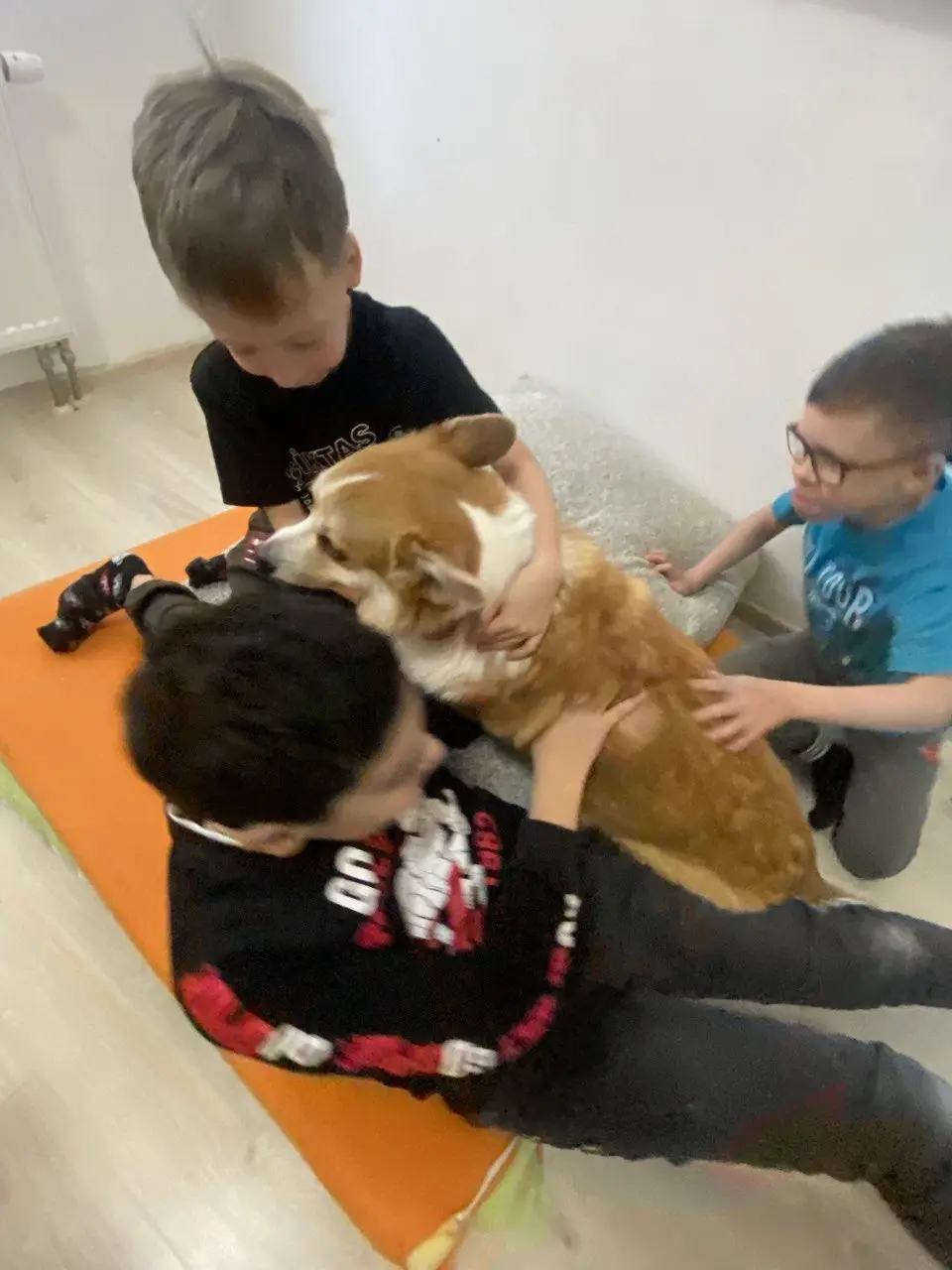 Собакотерапия. Фото 4