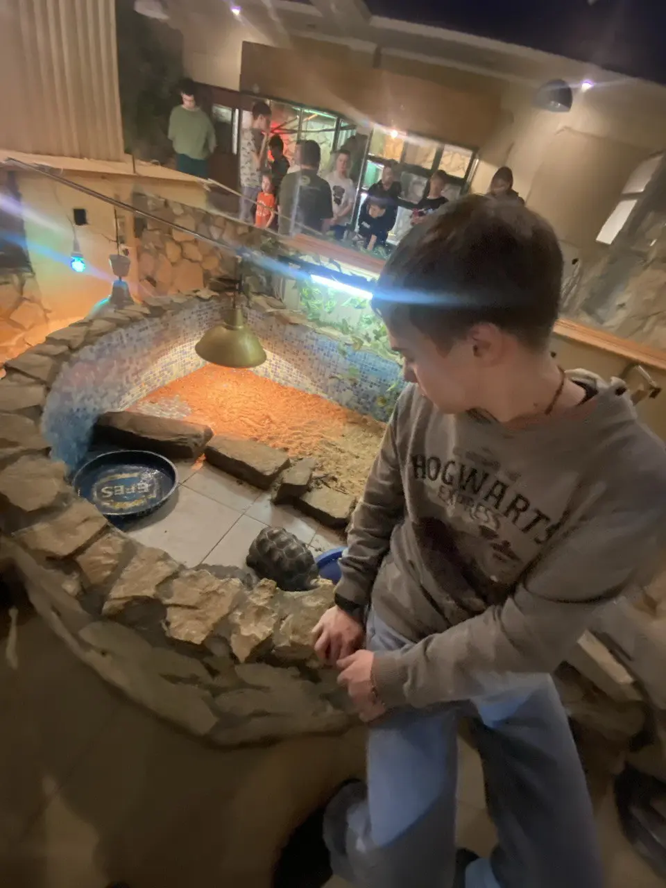 КРОКОДИЛВИЛЬ. Фото 1