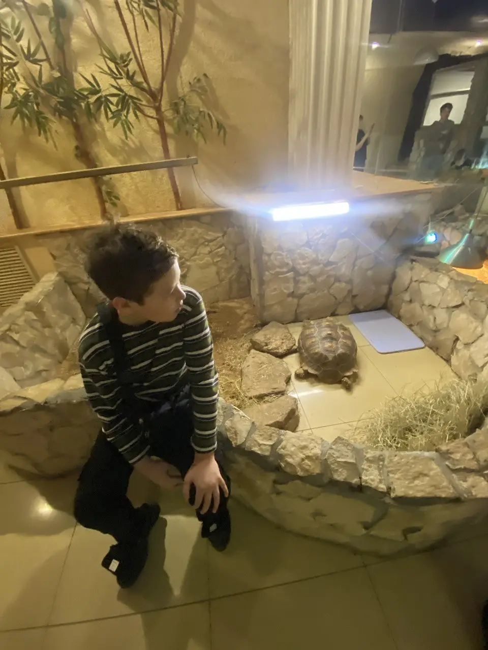 КРОКОДИЛВИЛЬ. Фото 2