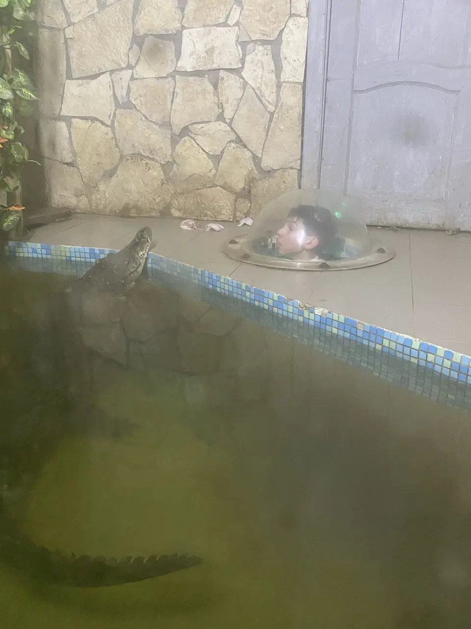 КРОКОДИЛВИЛЬ. Фото 6