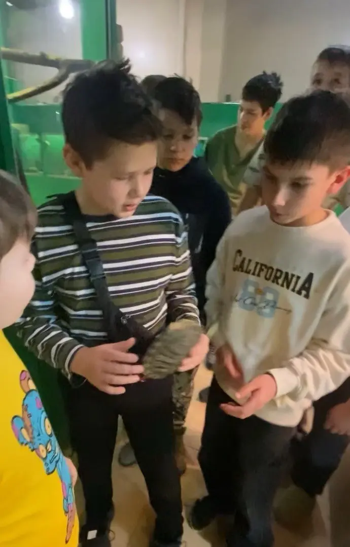 КРОКОДИЛВИЛЬ. Фото 4