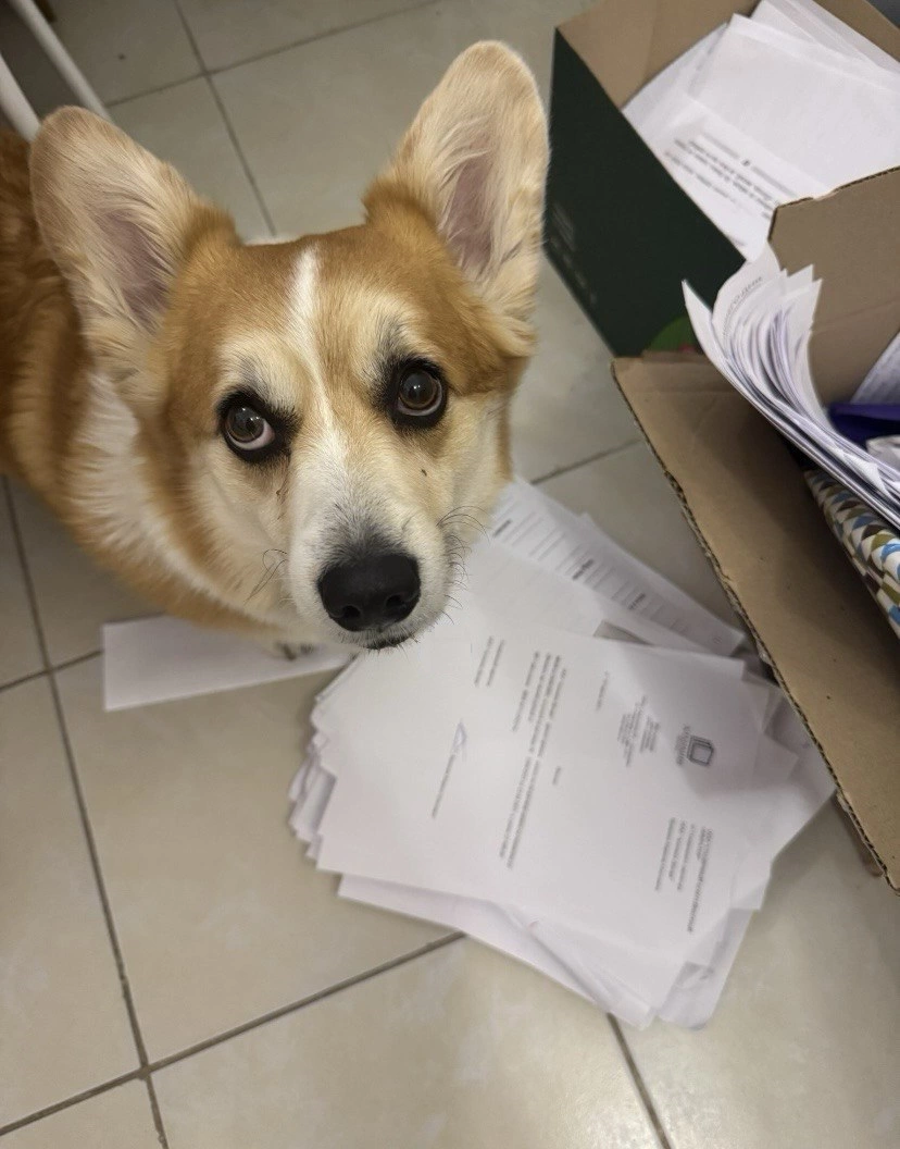 Макулатура 25. Фото 4