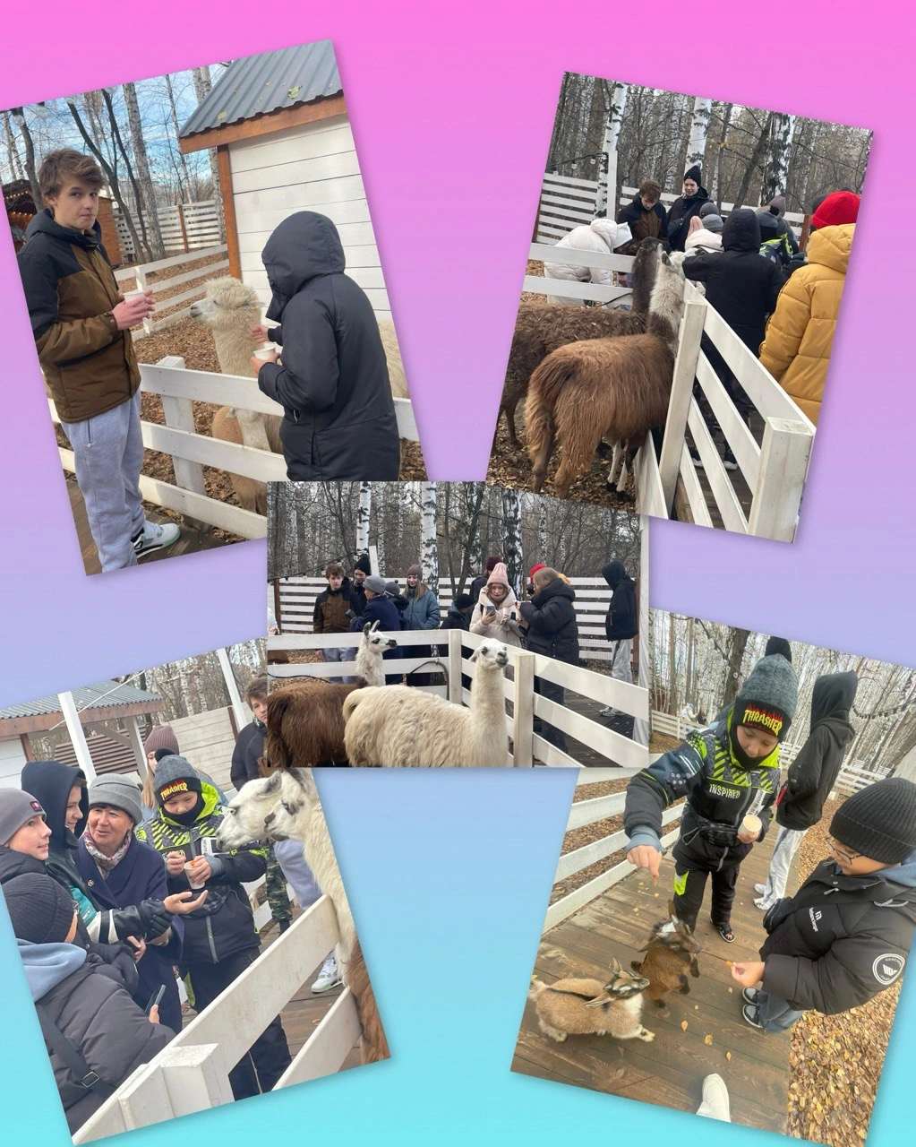 Парк Симба 25. Фото 4